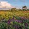 2 Bed in Weybourne oc-1628