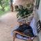 Sheeprun Farmstay