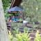 Exmoor Gate Lodges