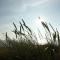 Holiday home Egmond Centre I & Ii Foto: Holiday home Egmond Centre I & Ii
