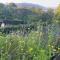Braeburn Guesthouse