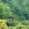 Braeburn Guesthouse