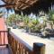 Cocoa Inn Hostal