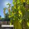 B&B Royal Swans - Adults-Only Boutique Stay in Bruges