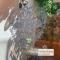 B&B Royal Swans - Adults-Only Boutique Stay in Bruges