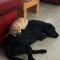 Barton Gate Farm B&B - 布德