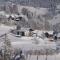 Cozy Apartment in Afritz am See near Gerlitzen Ski Area