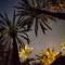 Riad Dar Sofian