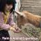 Fujisan Wild Adventure