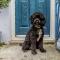 3 Bed in Brixham oc-64703