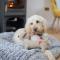 3 Bed in Bideford oc-48845