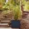 TINY HOUSE - La cabane de Tom TINY HOUSE - La cabane de Tom