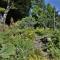 2 Bed in Lampeter oc-43293