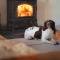 5 Bed in Aberystwyth oc-58889