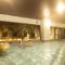 Ooedo Onsen Monogatari Premium Seiunkaku
