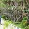 U Duay Gan Garden Home - Ubon Ratchathani