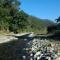 Wild Brook