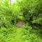 Peaceful Nature Stay in Bohon