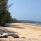 Ulysses 10 Ocean Dunk Island Views