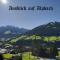 Alpbachblick