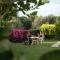 Hotel Al Mulino - Mediterranean Garden Retreat in AnaCapri