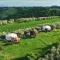 2 CUORI E 1 YURTA Glamping in Tuscany - Adults Only
