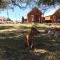 Katies Cozy Cabins