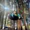 Fujisan Wild Adventure