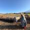 Fujisan Wild Adventure