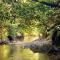 Casa Aire Libre - Jungle immersion - Natural pool - Waterfall