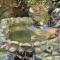 Casa Aire Libre - Jungle immersion - Natural pool - Waterfall