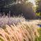 SkyGarden Studio - Private Terrace and View in Quiet Jūrmala