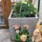 Appartement Purzel