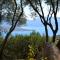 Camping Vigna Maggiore