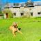 3 Bed in Hawkshead oc-llh38