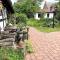 Sommerwiese