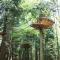 Insolite dans les arbres Les Ormes, Epiniac - 埃皮尼亚克