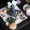 NICE FLAT 400 m FROM BEACH & CENTER - 卡布尔