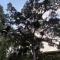 Pousada São Miguel Natureza e Descanso em Cunha SP