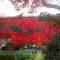 Otsu Nature Garden - Akiruno