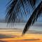 WHITE FLAT ALMADIES