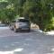 Cycad Lodge