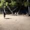 Camping Marina Plage