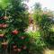 B&B Romy House