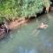 Forest Edge Resort Nature Retreat Near Sigiriya