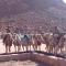 Foto: Wadi Rum Travel Camp 48/63