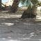 Be On The Beach - Sainte-Anne