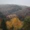 FeWo Harz Haennig 2