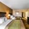 Comfort Inn Warner Robins - Robins Air Force Base Area