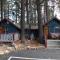 Castle Wood Theme Cottages- COUPLES ONLY - Big Bear Lake